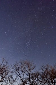 朝霧高原03