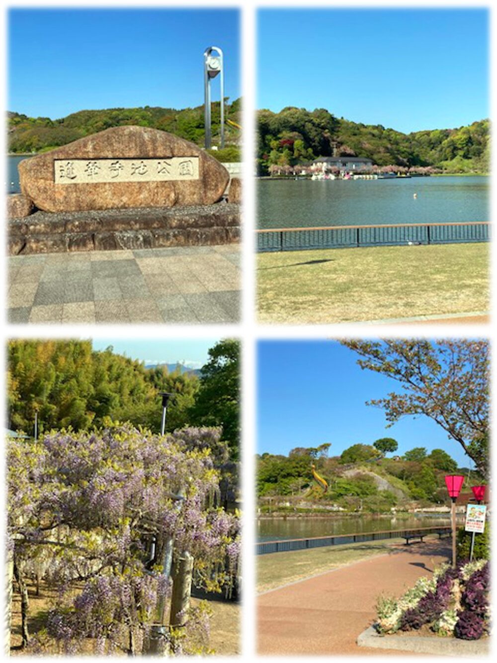 蓮華寺池公園