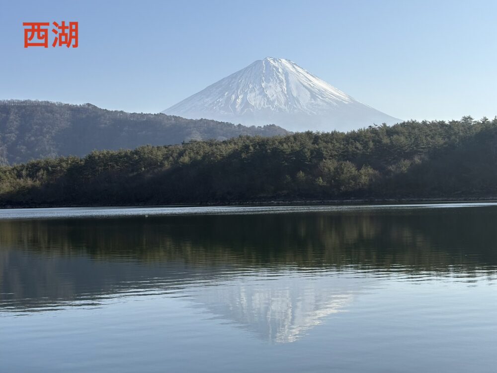 西湖からの富士山